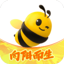 六连胜 辽篮进攻何以酣畅淋漓